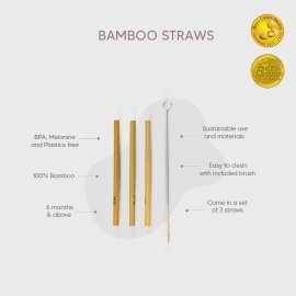 Bamboo Straws Set of 3