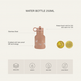 Water Bottle 250 ml - Dino