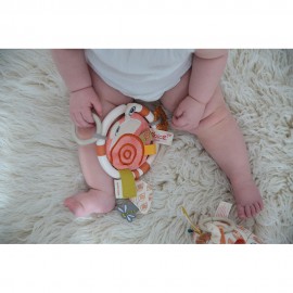 Laura the Snail and Earth Activity Teether