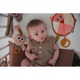 Fiona the Fox Comforter and Oliver the Owl Pacifier Clip Holder