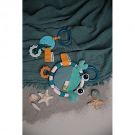 Shelly the Crab and Ocean Activity Teether