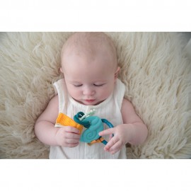 Shelly the Crab and Ocean Activity Teether